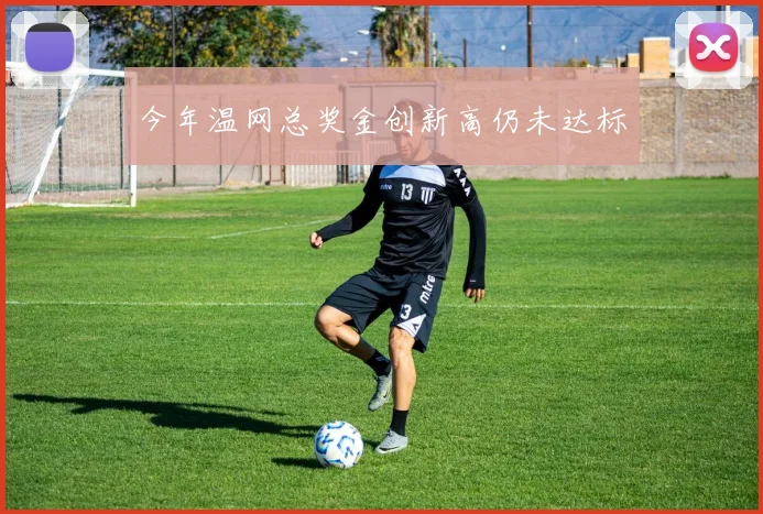 今年温网总奖金创新高仍未达标